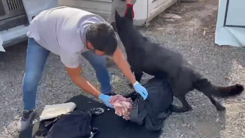 Araçtan çıkan uyuşturucu pes dedirtti