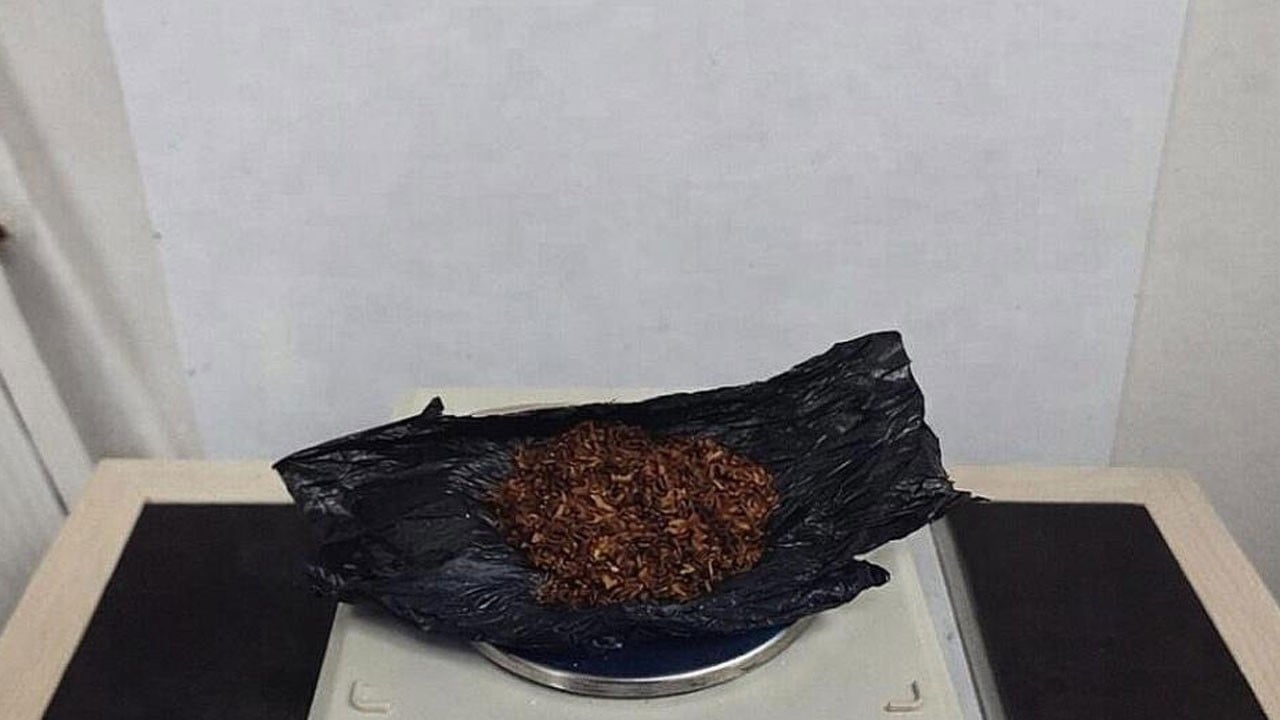 Araçtan çıkanlara bakın