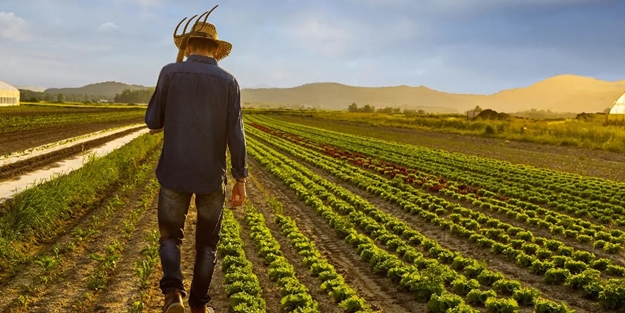 Aralık ayında Tarım ÜFE yıllık yüzde 52,66 arttı