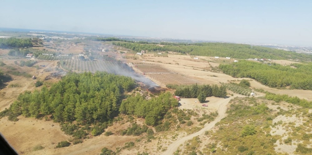 Arap Beleni’nde çıkan yangın, ormana ulaşmadan söndürüldü 