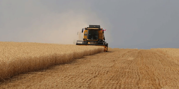 Arap ülkesinden Türkiye'ye bomba teklif: Ülkemize gelin tarım yapalım