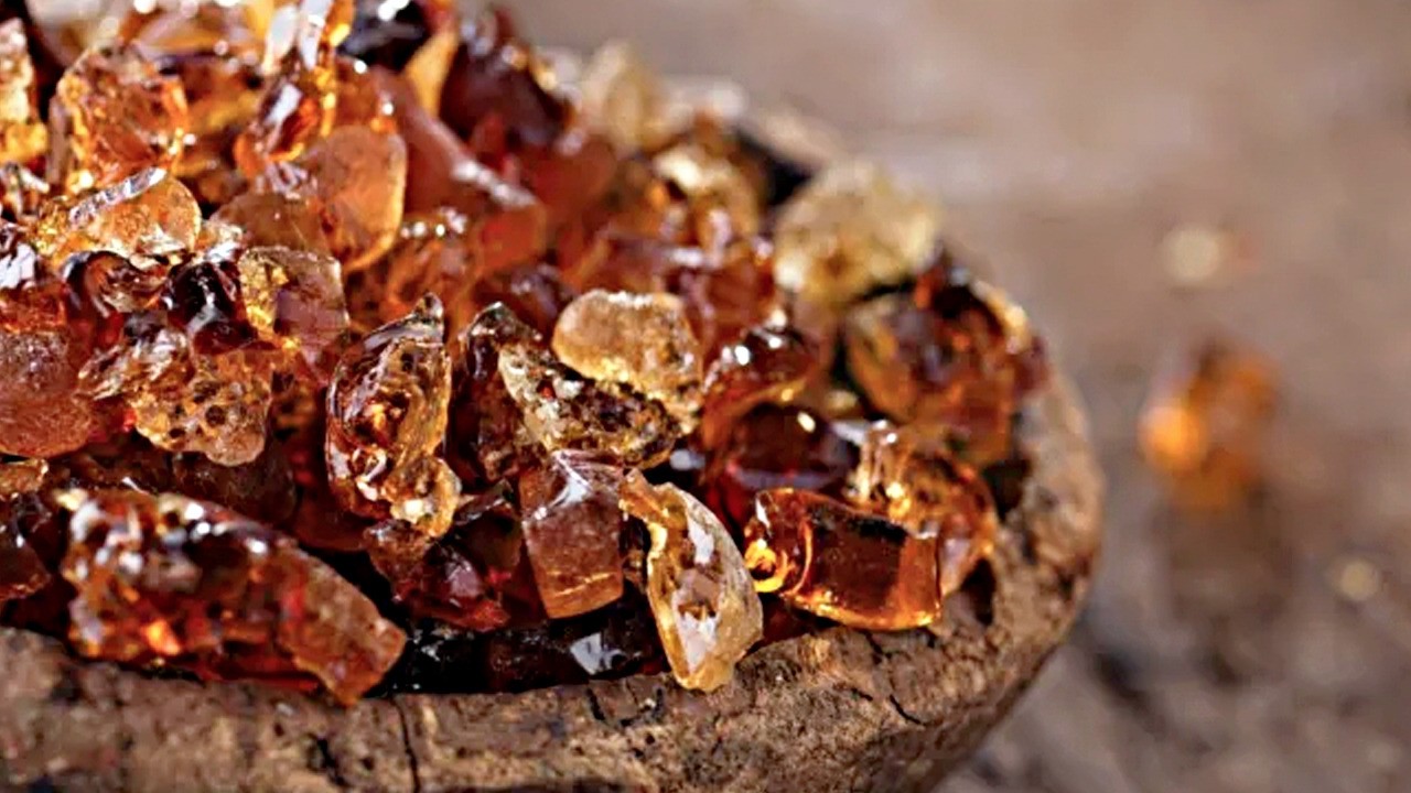 Arap zamkının faydaları nelerdir? Sedef ve egzamaya çare! Sıcak suda kaynatın! Ne işe yarar?