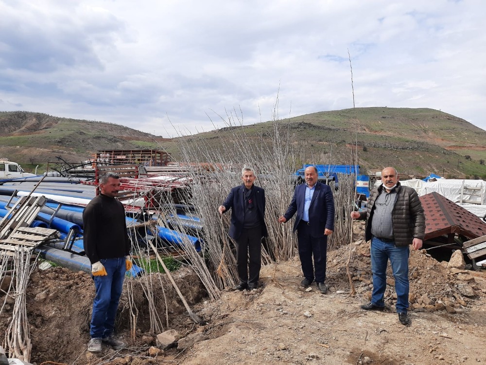 Arapgir’de fidanlar toprakla buluştu 