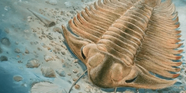 Araştırmacılar 465 milyon yıllık keşfi! Bakın ne çıktı: Garip bir canlı bulundu! Şaşkına çeviren olay