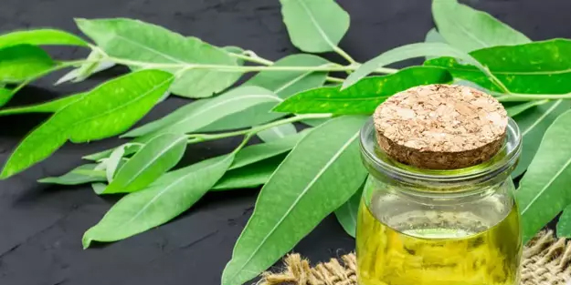 Araştırmalar ortaya çıkardı! 10 dakikada cildi 10 kat hızlı yeniliyor, leke ve izleri siliyor! Cilt bariyerini en baştan onarıyor!