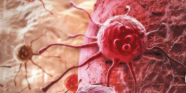 Araştırmanın sonuçları açıklandı: Her 10 kişiden 8’i bilmiyor