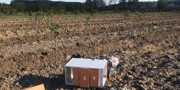 Arazi kavgasında kan aktı! Baba ve oğlu öldürüldü