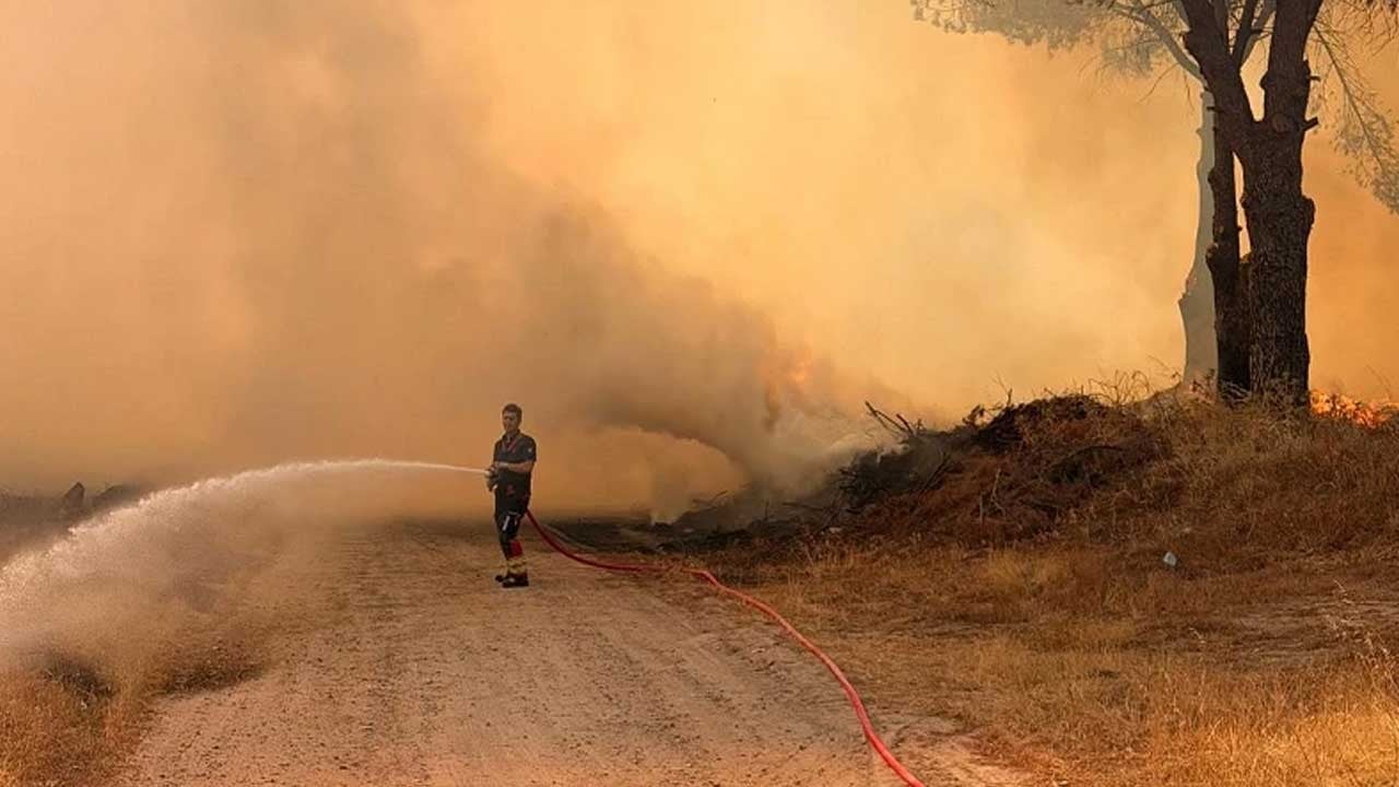 Arazi yangını büyümeden söndürüldü