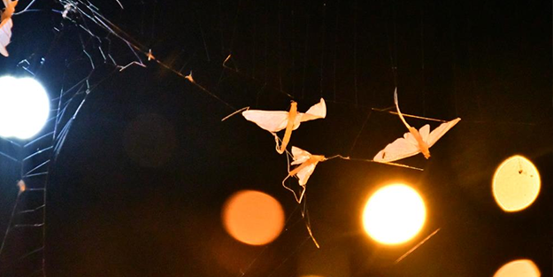 Ardahan'da 'bir günlükler'in 'ölüm uçuşu' sürüyor