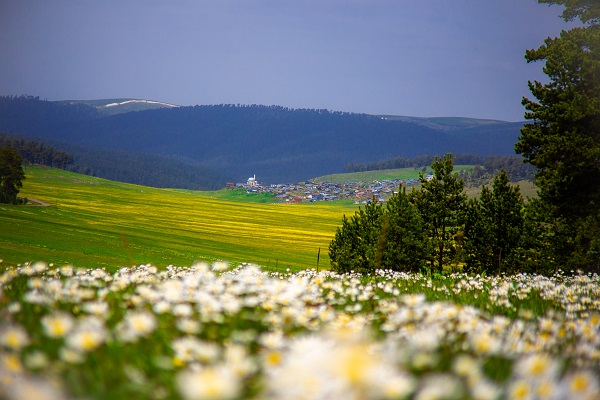 Ardahan'da doğa renklendi