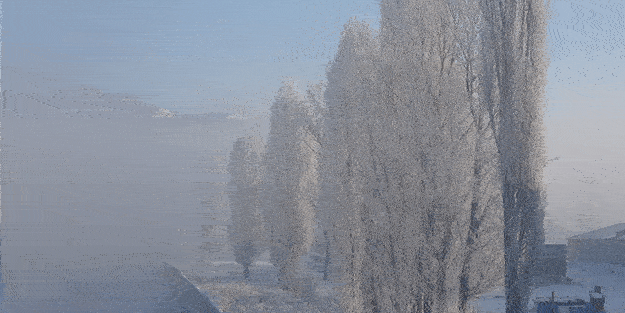 Ardahan'da her yer buz tuttu!
