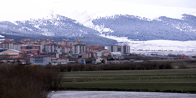 Ardahan'da kar yağışı etkili oldu