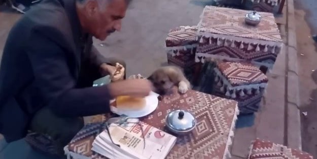 Yürekleri ısıtan görüntü! Yemek yerken yanına gelen köpeğe...