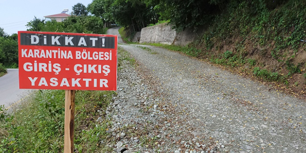 Mutasyon virüs alarmı! Binalar karantinaya alındı