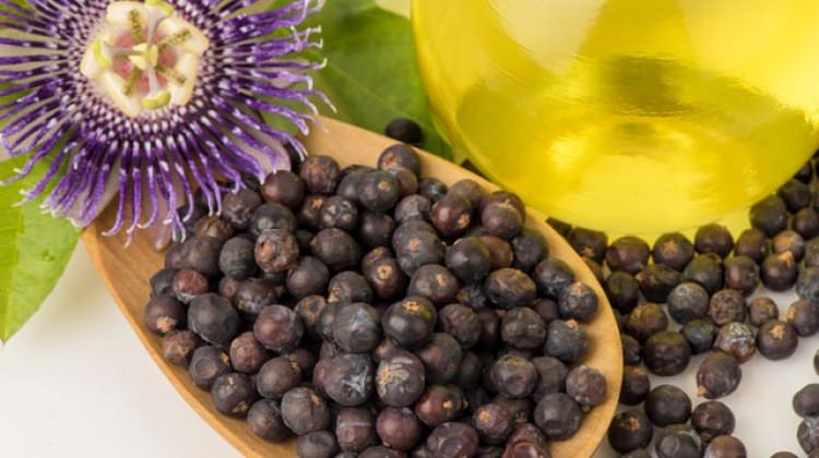 Ardıç yağını her gün 1 kaşık tüketirseniz...