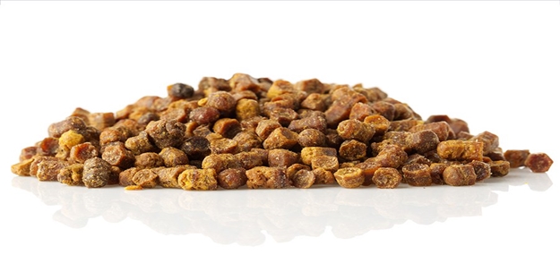 Arı ekmeği nedir, faydaları nelerdir?