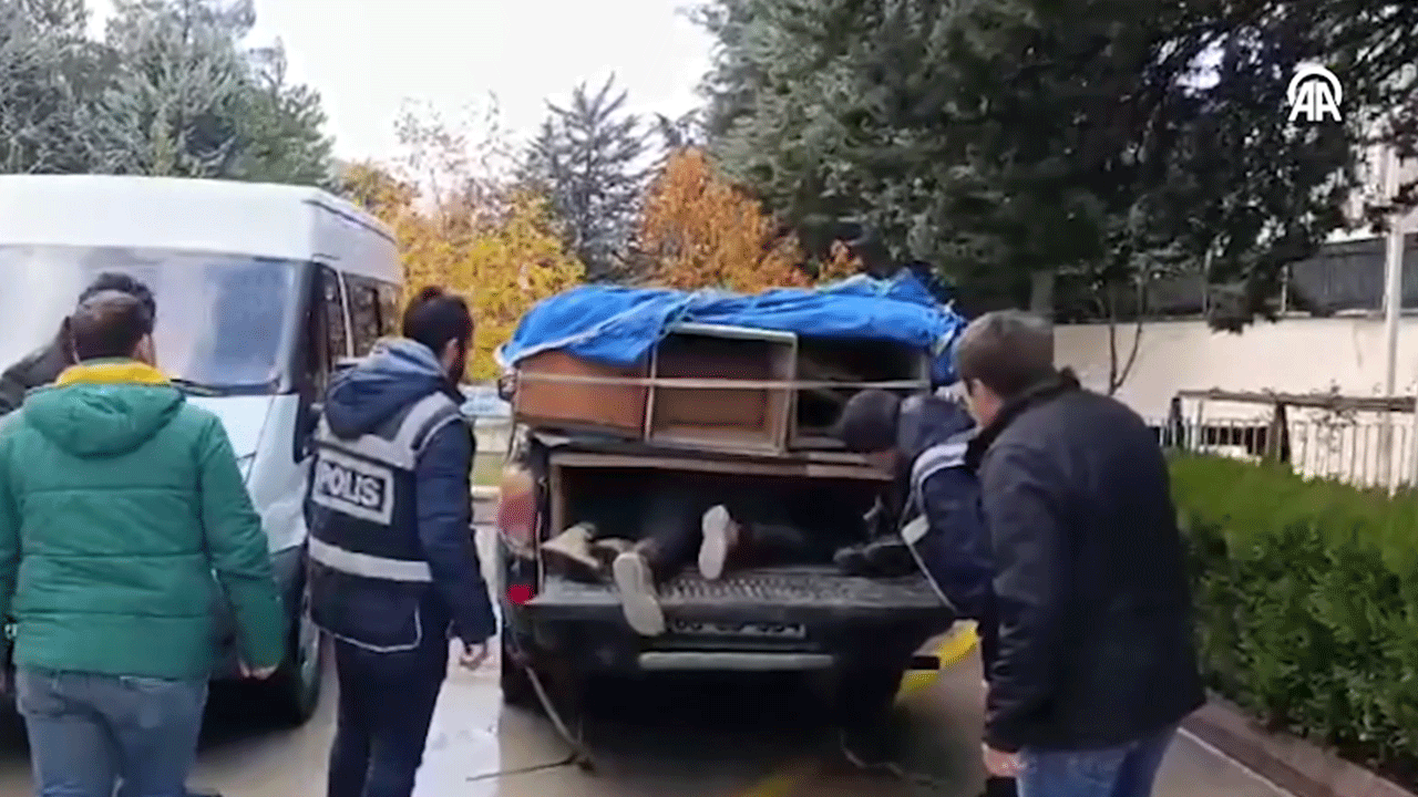 Arı kovanlarının arasından kaçak göçmen çıktı