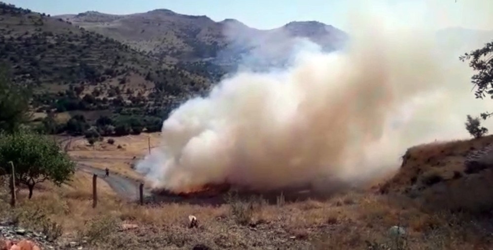 Arı kovanlarının bulunduğu alanda yangın çıktı, yüzlerce arı telef oldu 