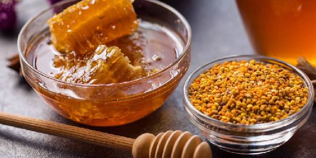 Arı poleni hastalıklara karşı kalkan görevi görüyor