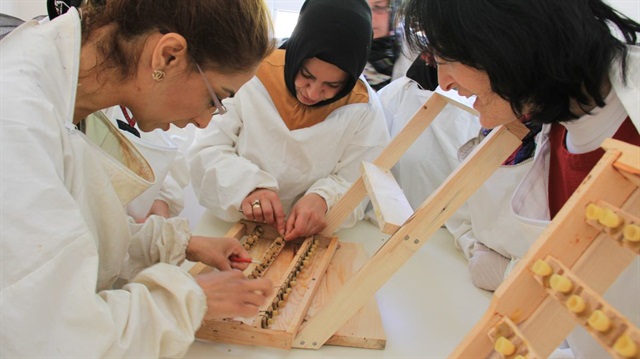 Arı sütünden gelir elde edecekler