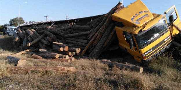 'Arı' tomruk yüklü TIR'ı devirdi
