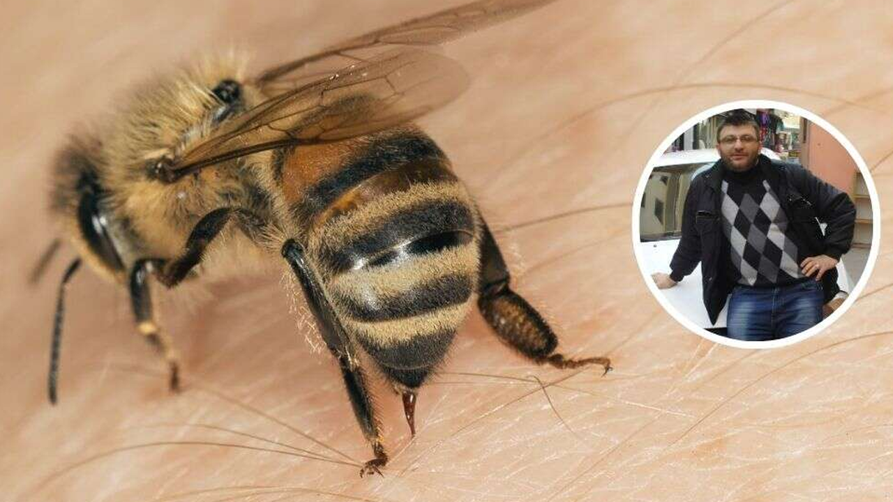 Arı yuvasına sıcak su döktü, doğum gününde öldü