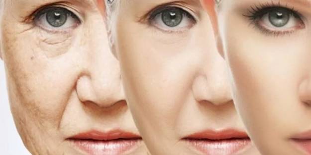 Uzman isim açıkladı! Arı zehri kırışıklıkları önlüyor