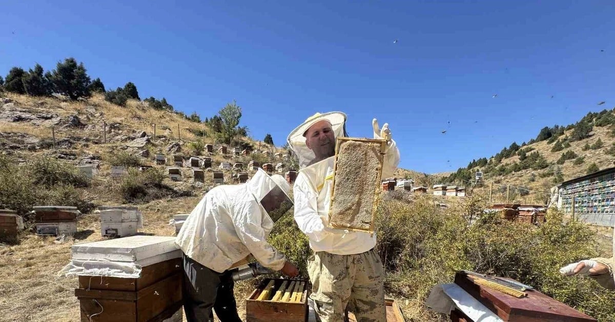 Arıcılar 2200 rakımlı Konya yaylalarında yaklaşık 5-5,5 ton doğal bal bekliyor