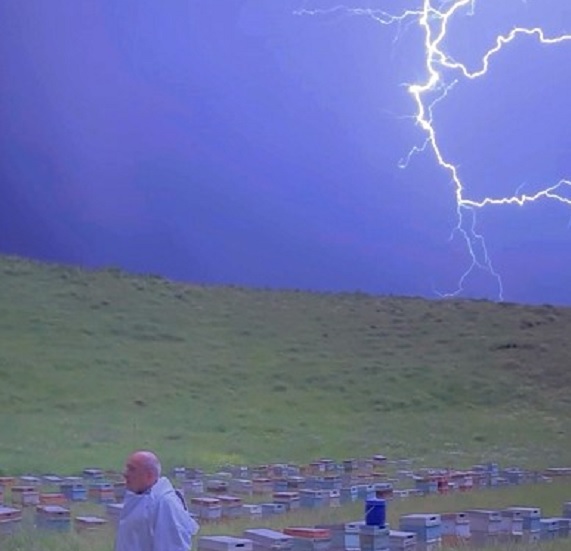 Arıcıların şimşeklerle mücadelesi görüntülendi