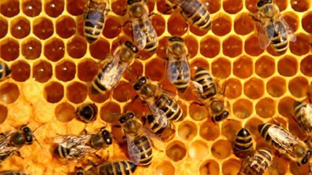 Flaş uyarı! Görür görmez ihbar edin