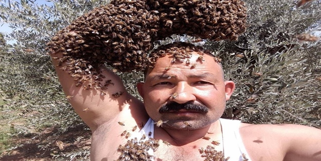 Arılar başının tâcıymış!