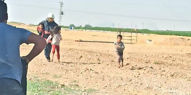 Arılar bir eve saldırdı! 10 kişilik aile kabusu yaşadı