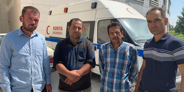 Arılar tarım işçilerine saldırdı: Çok sayıda yaralı var