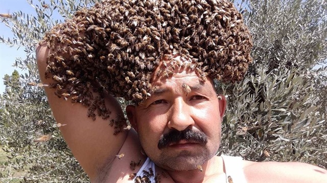Arıları başına taç yaptı