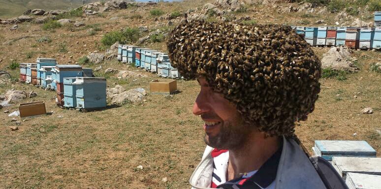 Arılarıyla Guinness'e girmek istiyor