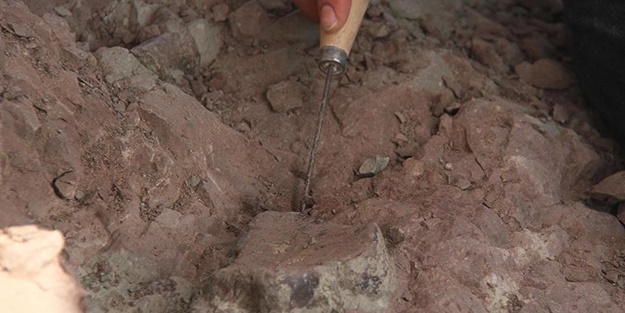 Arjantin'de keşfedildi! 90 milyon yıl öncesine ait