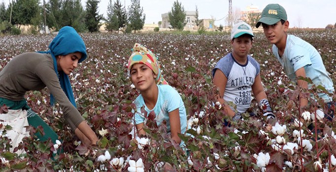 Arkadaşları okulda onlar tarlada
