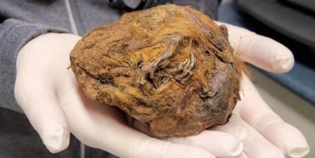 Arkeologlar bile şaştı kaldı... Tam 30 bin yıl öncesine ait!