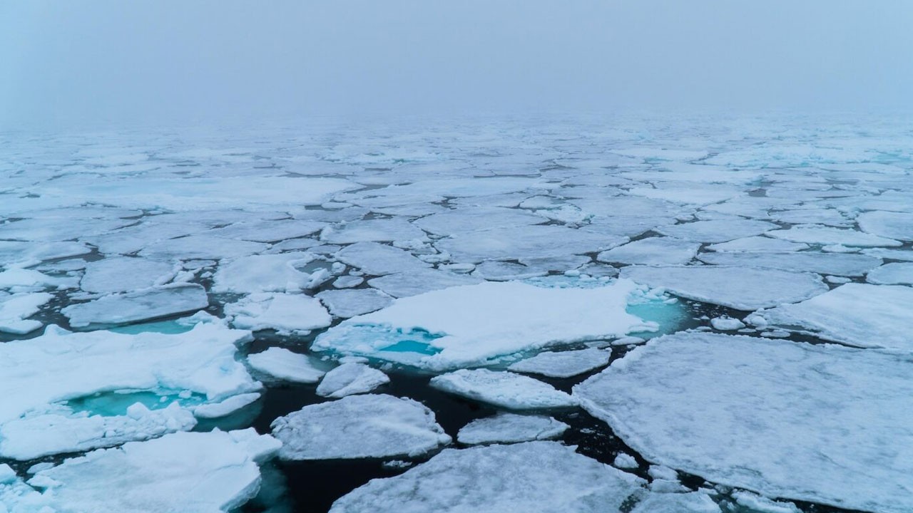 Arktik alarm veriyor! Son 40 yılın en düşük buz seviyesi kaydedildi