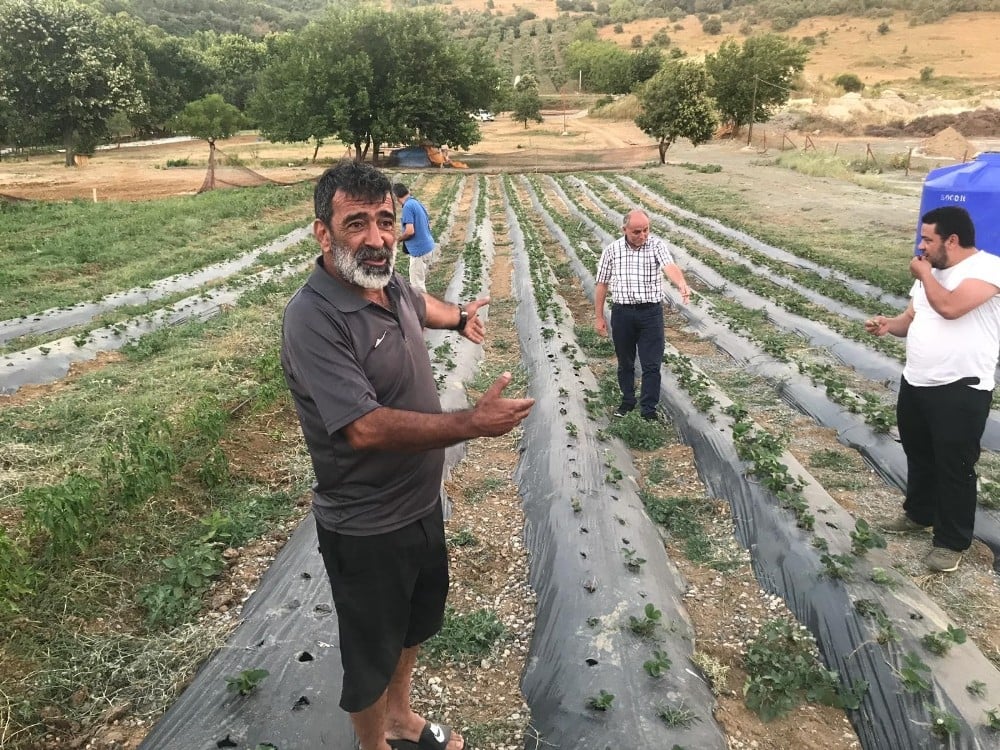 Armutlu’da organik çiftlik sezonu başladı 