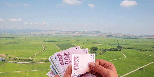 Arsa sahipleri aman dikkat! Bakanlık her ay para ödeyecek
