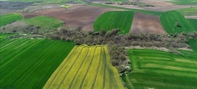 Arsa ve tarlalara ilgi arttı: Yatırımda en çok talep gören yerler
