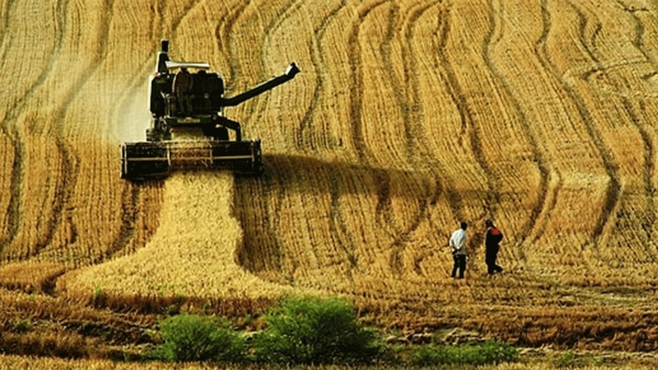 Arsası olanlar dikkat! Yeni karar duyuruldu!