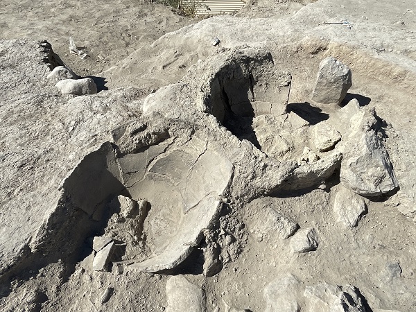 Arslantepe Höyüğü'nde önemli keşif