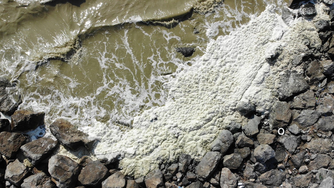 Arsuz sahilinde müsilajı tedirginliği