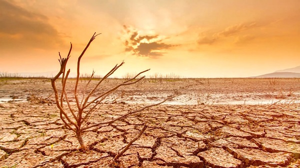 Artık kar yağışına hasret kalacağız! İnsanlığı bekleyen tehlike