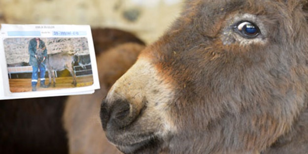 Artık onların da kimlikleri olacak