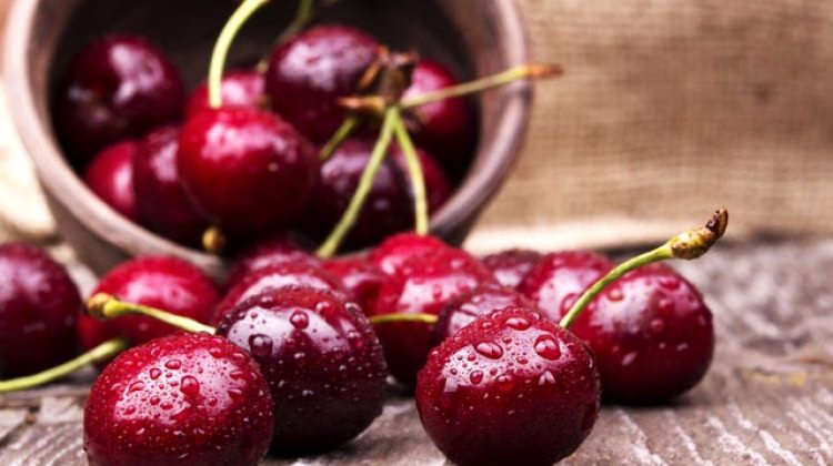 Artık yemek için daha fazla nedeniniz var!