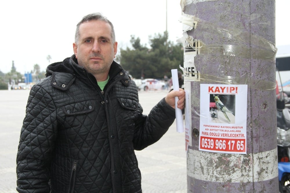 ‘Artist’i bulanı ödüllendirecek 