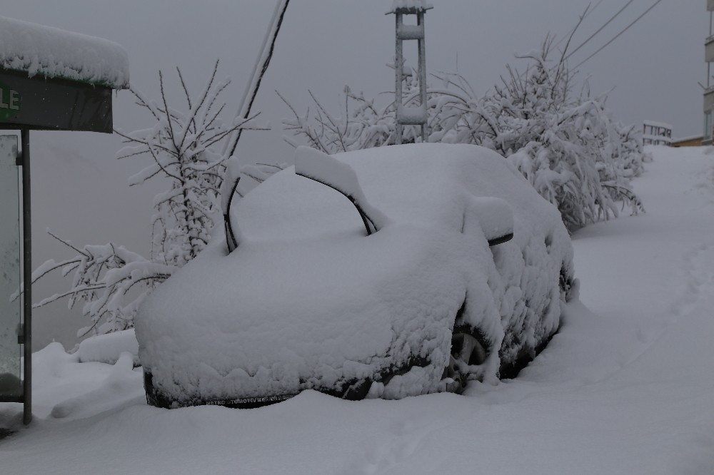 Artvin beyaza büründü 
